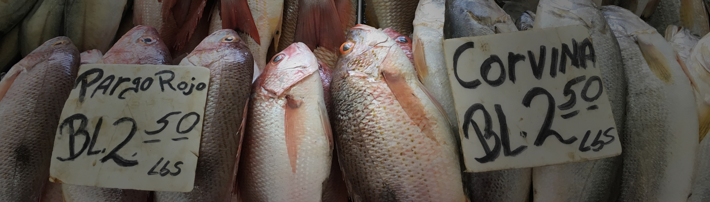 Can saving big fish impact fish population?